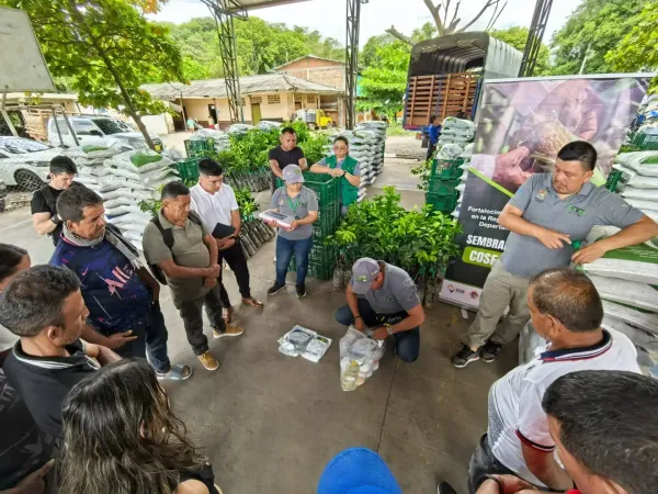 Productores de limón Tahití en Mercaderes fortalecen su producción con entrega de insumos y tecnología