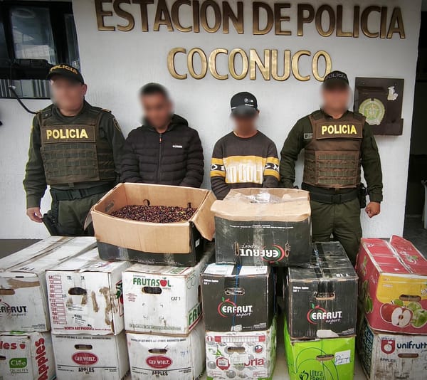 Operativo ambiental en Coconuco deja dos capturados por transporte ilegal de fruto silvestre protegido