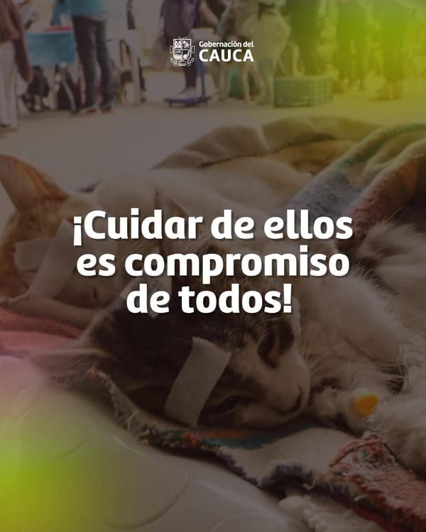 Esterilizar sí salva vidas: el Cauca impulsa jornadas gratuitas para el bienestar animal