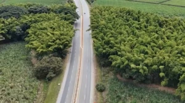 Hombres armados robaron camión con 34 motocicletas nueva en zona rural de El Bordo, El Patía