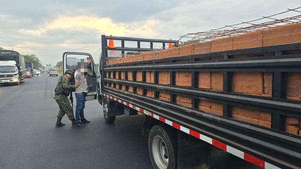 Golpe al narcotráfico: transportaban marihuana en medio de ladrillos