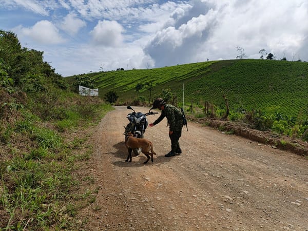 Ejército frustra atentado en El Plateado: hallan moto cargada con explosivos de alto alcance