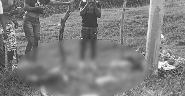 Cuatro jóvenes secuestrados en Jamundí, fueron encontrados muertos en Suárez, Cauca