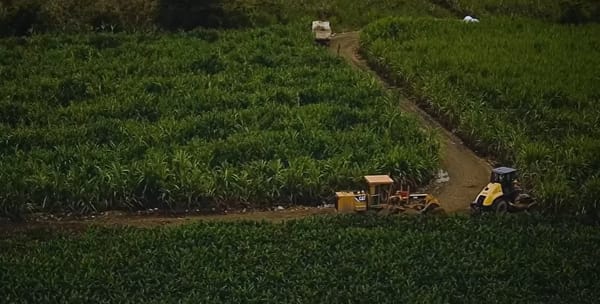 Inversión en vías rurales en Guachené impulsa desarrollo y esperanza en el territorio