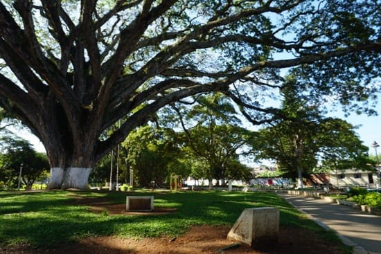 Roban vivienda de concejala en barrio Brisas de Santa Clara de Santander de Quilichao, Cauca