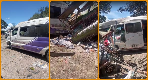 Impactantes vídeos del panorama en la Panamericana: caos total