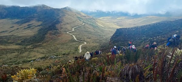 ¡Qué tal esto! Indígenas Nasas pretenden despojar a los Misak de sus tierras en Guambia