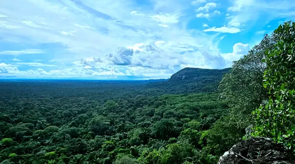 Angustia en el Guaviare: 66 soldados llevan tres días incomunicados en plena selva