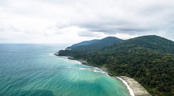 Isla Gorgona, en el Cauca, podría ayudar a entender la evolución geológica de Marte