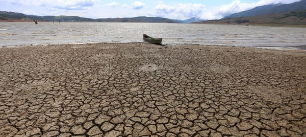 Alerta en Colombia: el fenómeno de El Niño llegará antes y podría ser uno de los más fuertes de la historia