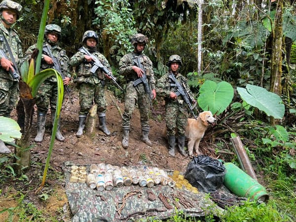 Evitan posible ataque terrorista en Cauca: hallan y destruyen más de 25 artefactos explosivos
