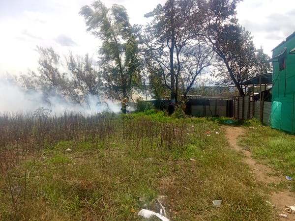 Incendio forestal causado por habitantes de calle sembró el pánico en Ciudad Jardín de Popayán