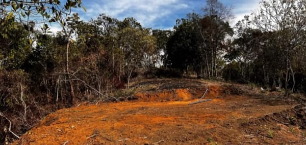 Millonaria sanción por destruir ocho hectáreas de bosque protegido en Santander de Quilichao