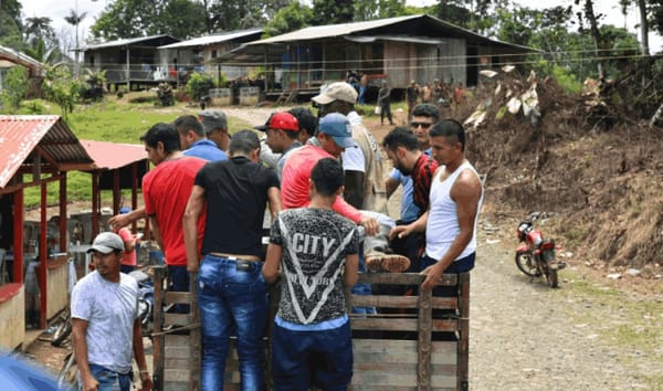 Cauca, entre los territorios más afectados por el desplazamiento forzado en Colombia durante 2026