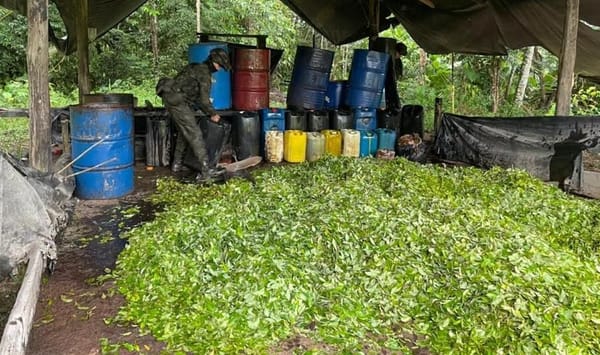 Desmantelan dos laboratorios para el procesamiento de coca en zona rural de Popayán