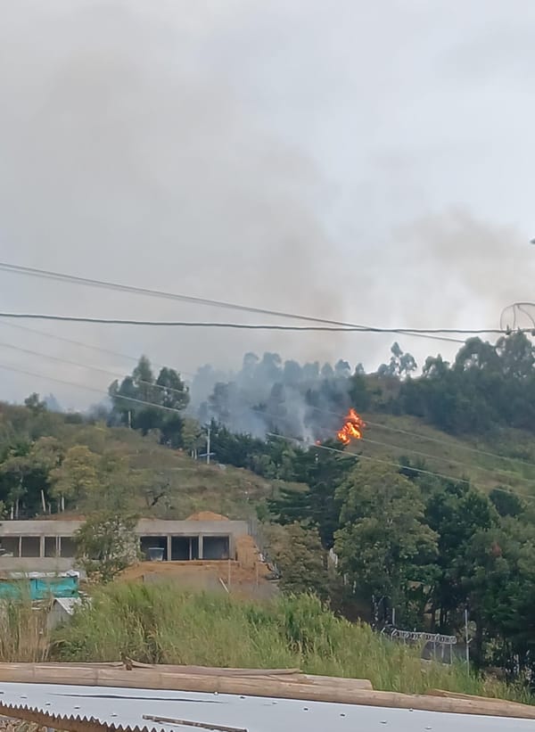 Bomberos de Totoró denuncian que no tienen cómo movilizarse para atender emergencias y piden ayuda externa para combatir incendio forestal