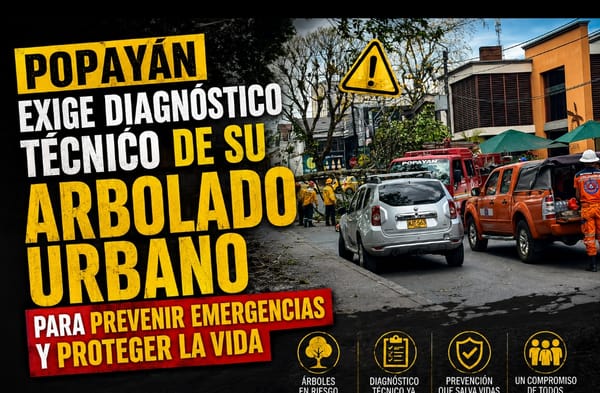 Popayán exige diagnóstico técnico de su arbolado urbano para prevenir emergencias y proteger la vida