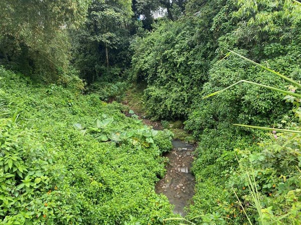 Millonaria sanción a constructora por desaparecer un tramo de la quebrada Machángara en Popayán