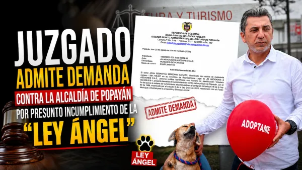 Juzgado admite demanda contra la Alcaldía de Popayán por presunto incumplimiento de la "Ley Ángel"