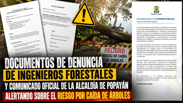 Escándalo por presunta falsedad documental paraliza contrato de poda de árboles en Popayán en plena temporada de vientos