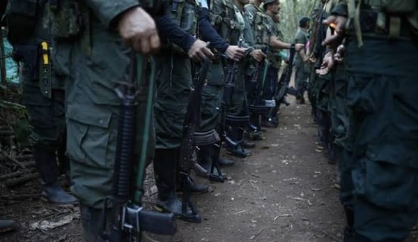 Denuncian masacre de civiles durante incursión armada de disidencias de las Farc en Ortega, Cajibío