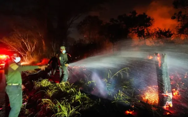 Defensoría del Pueblo urge respuesta nacional articulada ante avance de incendios forestales en el país