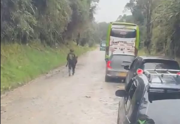 (Vídeo) Así fue el retén ilegal de un grupo armado en la vía Paletará - Isnos