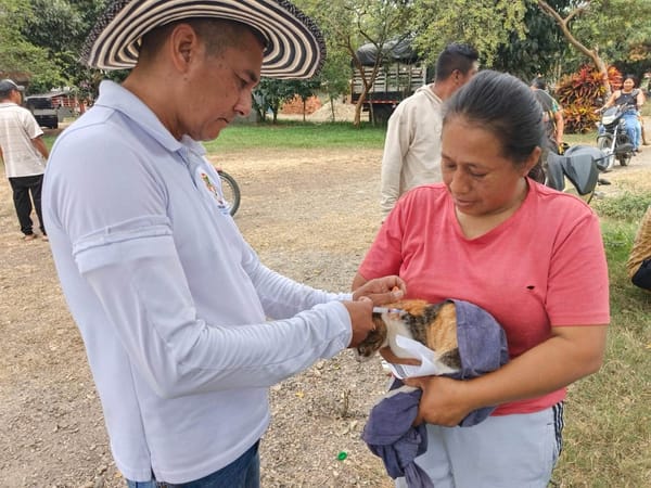 Secretaría de Salud del Cauca y Alcaldía de Caloto vacunan 1.253 perros y gatos contra la rabia en jornada de salud pública