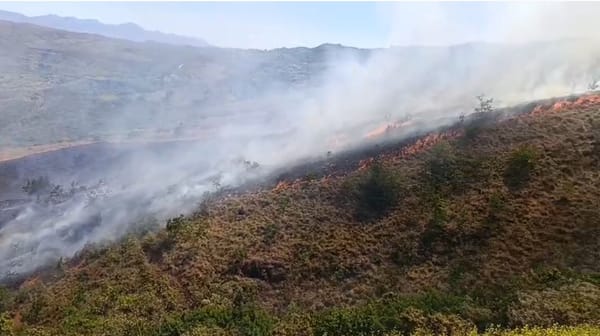 Grave incendio forestal en Sucre, Cauca amenaza con llegar a viviendas aledañas