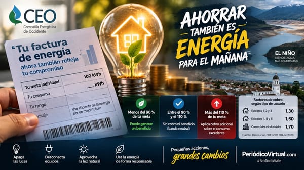¿Ahorró o consumió de más? CEO explica el nuevo esquema que llegará a la factura de energía