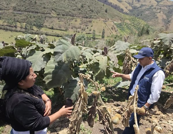 Ola de calor tiene "en jaque" el campo caucano: ya comienzan las afectaciones