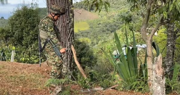 Ejército destruyó dos explosivos hallados en una escuela rural de Cajibío