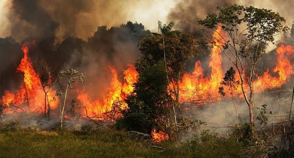 Incendios forestales consumen la Amazonía brasileña mientras este país arde por la campaña electoral